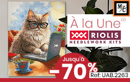 Soldes - a la une riolis