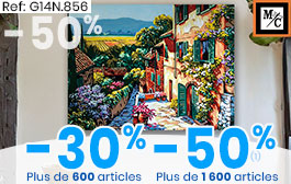 Canevas, coussins, tapis et kit enfants