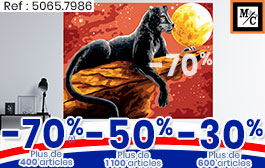Canevas, coussins, tapis, ...