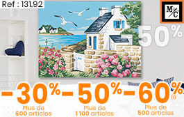 Canevas, coussins, tapis, ...