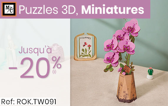 Puzzles 3D et miniatures