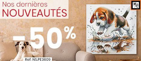 Nouveautés