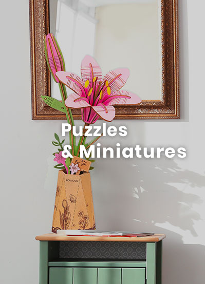 Puzzles et miniatures