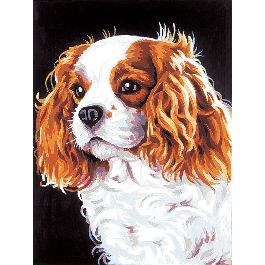 Dessin Cavalier King Charles Facile Canevas Pénélope - Le cavalier King Charles - Margot de Paris