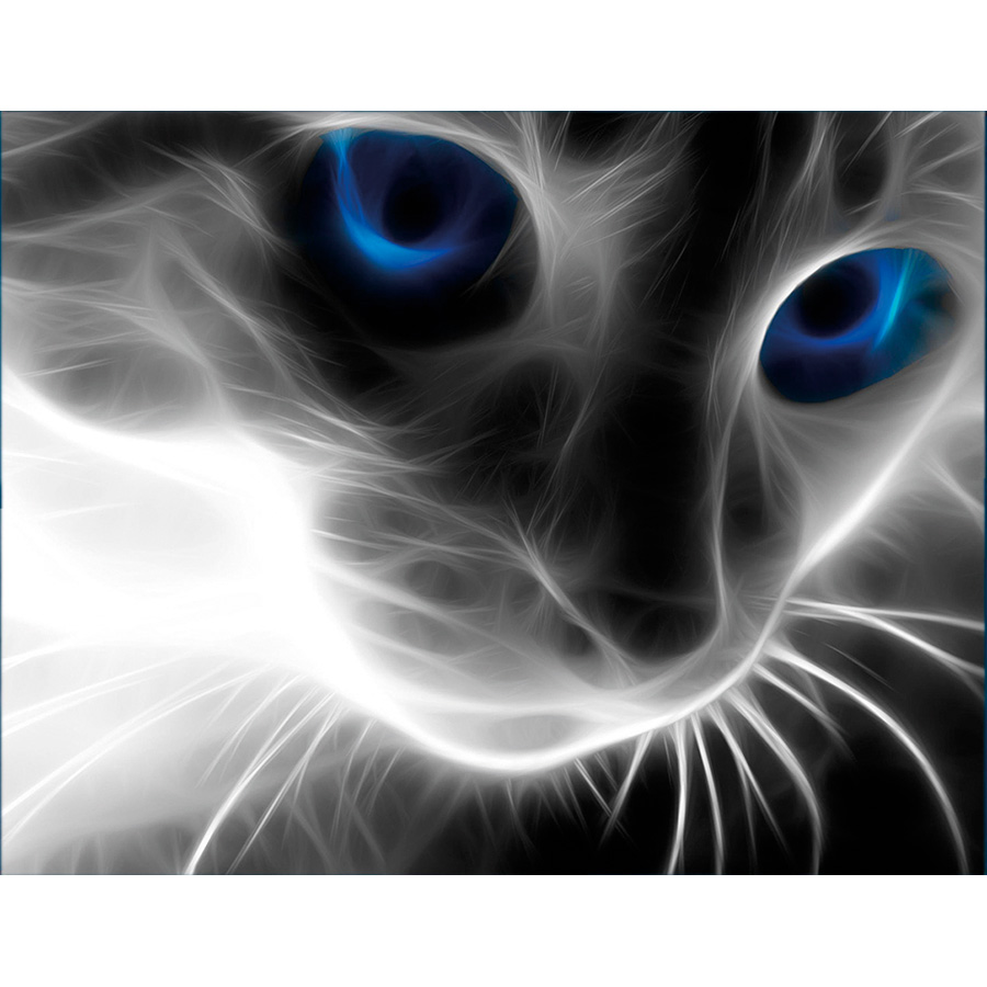 Kit De Broderie Diamant Le Chat Aux Yeux Bleus Diamond Painting