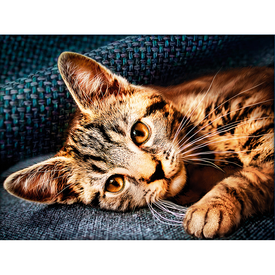 Kit De Broderie Diamant Chat Tigre Diamond Painting