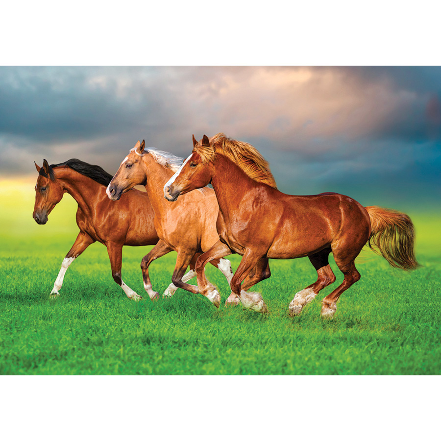 Clementoni puzzle Cheval sauvage 1000 pièces 98325 Clementoni puzzle Cheval sauvage 1000 pièces 98325