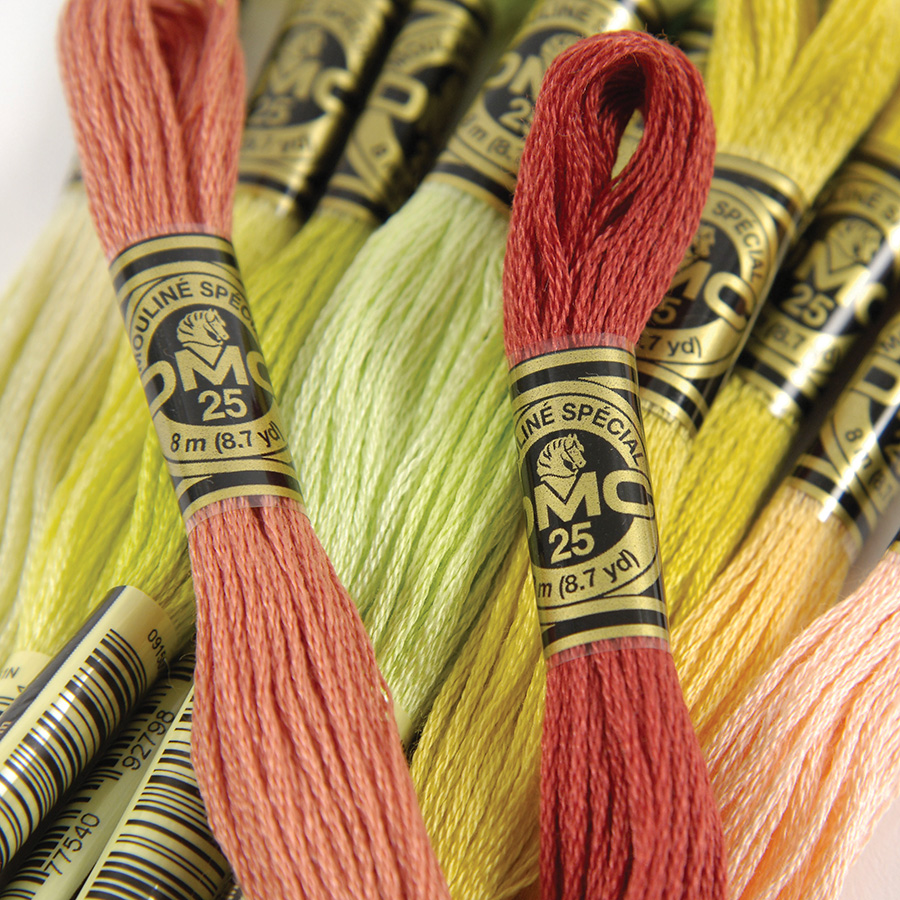 DMC Fil à broder de 8 m Couleur E898 couleurs variées Polyester 1 x 8m Skein DMC Fil à broder de 8 m Couleur E898 couleurs variées Polyester 1 x 8m Skein