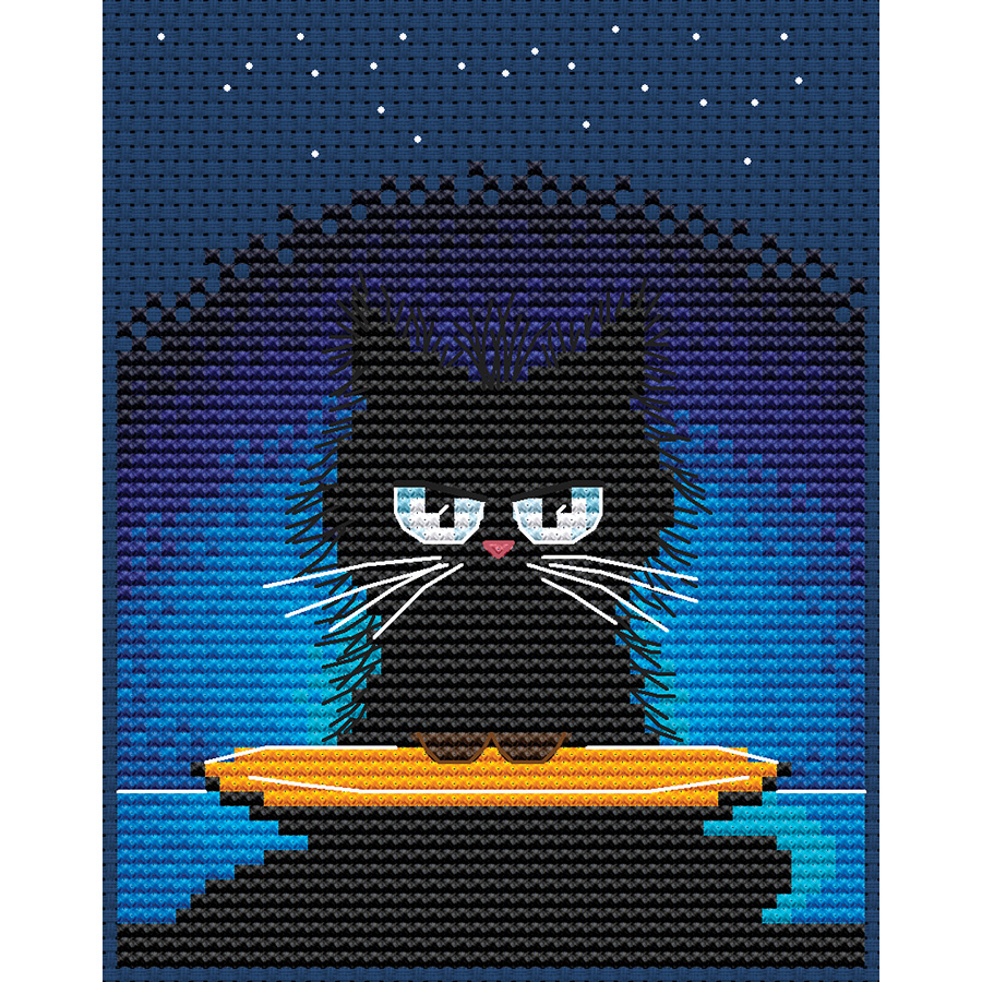 Kit Broderie Point De Croix Compté - Motif Chat Noir Et Livres 8,5x13,5 Cm - Fils DMC, Tissu Aida 16