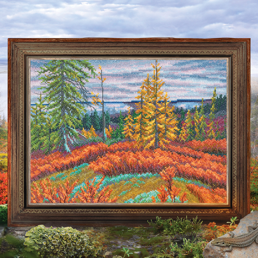 Kit Point De Croix Compté - Folklore Forestier - Dimensions