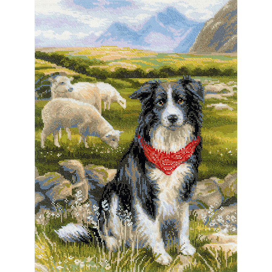 SCDSM Broderie Point De Croix,Chien Border Collie,Canevas