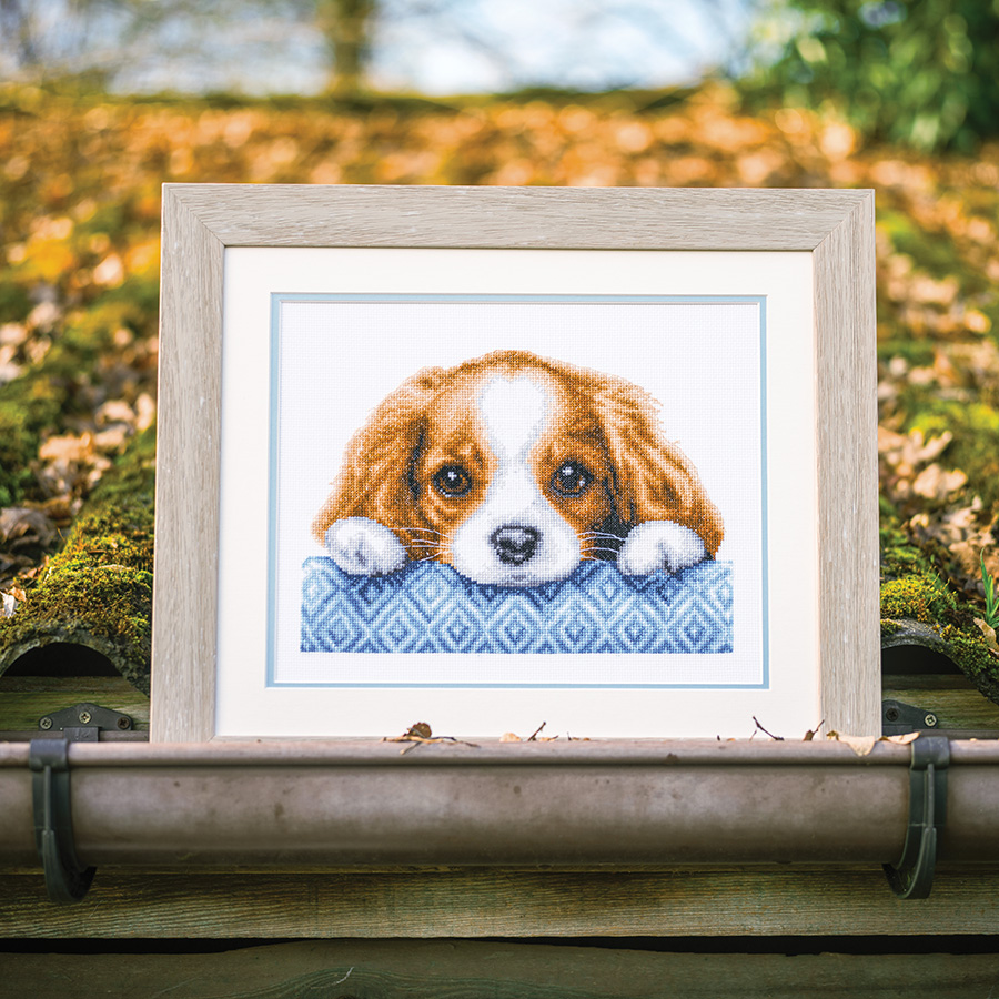 Kit Broderie Demi-point De Croix Chien – 10,5 X 10,5 Cm – Tout Inclus : Toile Aida Imprimée, Fil, Aiguille
