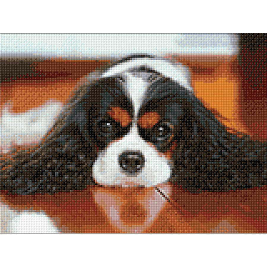 YSCOLOR Diamond Painting Kit 5D Fai Da Te - Cane Cavalier King Charles Spaniel, Tela 30x40cm, Diamanti Rotondi, Regalo Compleanno