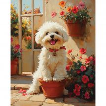 Kit Diamond Painting 5D San Bernardo Cane, 30x40cm, Tela E Strass Inclusi