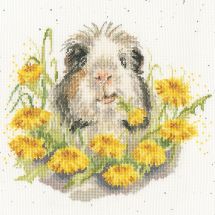 Kit broderie point de croix - Bothy Threads - Dandy Day