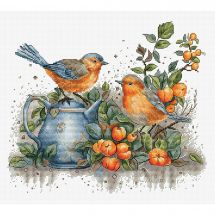Luca-S B7036 Kit de broderie au point de croix compté pour adultes Motif jardin