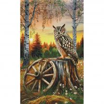Kit Point De Croix ANCHOR – Hibou Aux Oreilles Longues – 28cm – Neuf (réduit !)