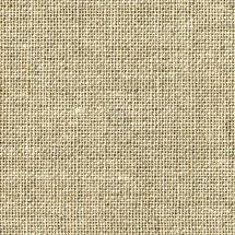 Citron vert frais - tissu au point de croix teint à la main