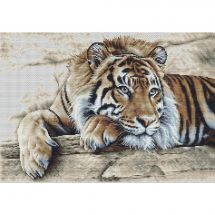 Thea Gouverneur - Kit Point De Croix Avec Grille De Comptage 579a Fils Dmc Pre Tries Tigre Aida 45 Cm X 35 Cm Kit Diy