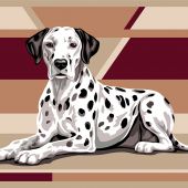 Canevas Pénélope  - Margot de Paris - Dalmatien