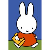 Canevas Pénélope  - SEG de Paris - Miffy