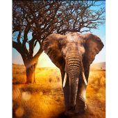 Kit de broderie Diamant - Diamond Painting - Elephant d'Afrique