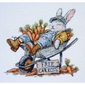 Kit broderie point de croix - Abris Art - Carottes libres