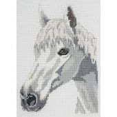 Kit point de croix - Anchor - Cheval blanc