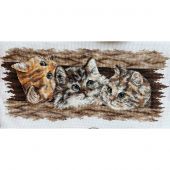 Kit broderie point de croix - Andriana - Trio de poils