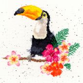 Kit broderie point de croix - Bothy Threads - Affection de toucan