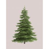 Toile à broder en coupon - Brod'star - Coupon motif sapin - 30 x 40 cm