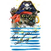 Kit de broderie Diamant - Collection d'Art - Chat pirate