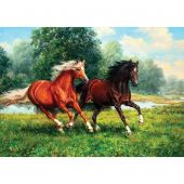 Kit de broderie Diamant - Collection d'Art - Chevaux galopant