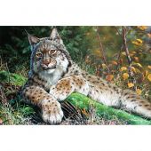 Kit de broderie Diamant - Collection d'Art - Lynx