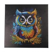 Kit de broderie Diamant sur châssis - Crystal Art D.I.Y - Hibou