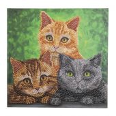 Carte broderie Diamant - Crystal Art D.I.Y - Portrait de chats