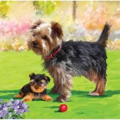 Carte broderie Diamant - Crystal Art D.I.Y - Chiens