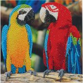 Carte broderie Diamant - Crystal Art D.I.Y - Couple de perroquets