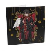 Carte broderie Diamant - Crystal Art D.I.Y - Harry et Hedwige