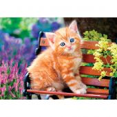 Puzzle  - Castorland - Chaton roux - 500 pièces