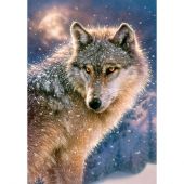 Puzzle  - Castorland - Loup solitaire - 500 pièces