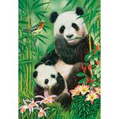 Puzzle  - Castorland - Brunch de pandas - 1000 pièces