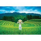 Puzzle  - Castorland - Champs de riz au Vietnam - 1000 pièces