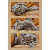 Kit broderie point de croix - Dimensions - Max le chat