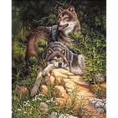 Kit de peinture par numéro - Dimensions - Loups sauvages et libres