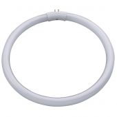 Ampoules - Daylight - Tube 22 Watts
