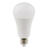 Ampoules - Daylight - Ampoule 15W LED bulb à vis