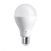 Ampoules - Daylight - Ampoule 18W LED bulb