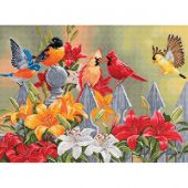 Kit broderie point de croix - Luca-S - Oiseaux du jardin et fleurs