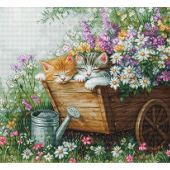 Kit broderie point de croix - Luca-S - Les chatons dorment